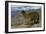 Alpaca, Cuzco, Peru, South America-Sybil Sassoon-Framed Photographic Print