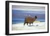 Alpaca, Lago Colorada, Uyuni, Bolivia, South America-Mark Chivers-Framed Photographic Print