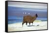 Alpaca, Lago Colorada, Uyuni, Bolivia, South America-Mark Chivers-Framed Stretched Canvas