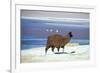 Alpaca, Lago Colorada, Uyuni, Bolivia, South America-Mark Chivers-Framed Photographic Print