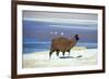 Alpaca, Lago Colorada, Uyuni, Bolivia, South America-Mark Chivers-Framed Photographic Print