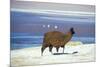 Alpaca, Lago Colorada, Uyuni, Bolivia, South America-Mark Chivers-Mounted Photographic Print