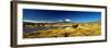 Alpaca (Lama Pacos) and Llama (Lama Glama) Grazing in the Field, Lauca National Park-null-Framed Photographic Print