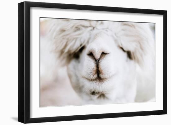 Alpaca Nose-Krista Mosakowski-Framed Art Print