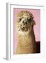 Alpaca on Pink Background, Close-Up of Head-null-Framed Photo