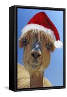 Alpaca Wearing Christmas Hat-null-Framed Stretched Canvas