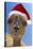 Alpaca Wearing Christmas Hat-null-Stretched Canvas