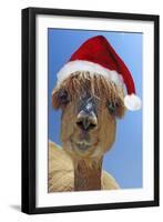 Alpaca Wearing Christmas Hat-null-Framed Premium Photographic Print