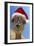 Alpaca Wearing Christmas Hat-null-Framed Premium Photographic Print