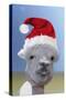 Alpaca Wearing Christmas Hat-null-Stretched Canvas