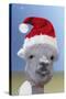 Alpaca Wearing Christmas Hat-null-Stretched Canvas