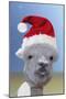 Alpaca Wearing Christmas Hat-null-Mounted Premium Photographic Print