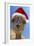 Alpaca Wearing Christmas Hat-null-Framed Photographic Print