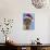 Alpaca Wearing Christmas Hat-null-Photographic Print displayed on a wall