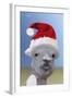 Alpaca Wearing Christmas Hat-null-Framed Photographic Print