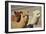 Alpaca-meunierd-Framed Photographic Print