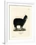 Alpaca-null-Framed Giclee Print