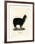 Alpaca-null-Framed Giclee Print