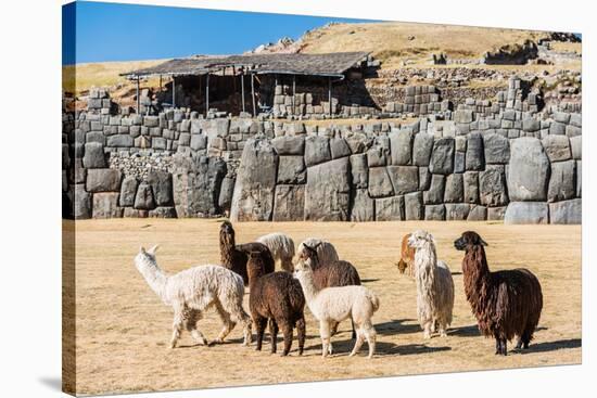 Alpacas at Sacsayhuaman, Incas Ruins in the Peruvian Andes at Cuzco Peru-OSTILL-Stretched Canvas
