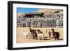 Alpacas at Sacsayhuaman, Incas Ruins in the Peruvian Andes at Cuzco Peru-OSTILL-Framed Photographic Print