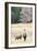 Alpacas, Maine, USA-phbcz-Framed Photographic Print