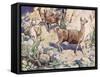 Alpacas on a Mountain Path-John Edwin Noble-Framed Stretched Canvas