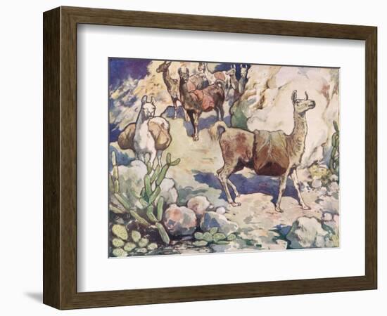 Alpacas on a Mountain Path-John Edwin Noble-Framed Giclee Print