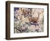 Alpacas on a Mountain Path-John Edwin Noble-Framed Giclee Print