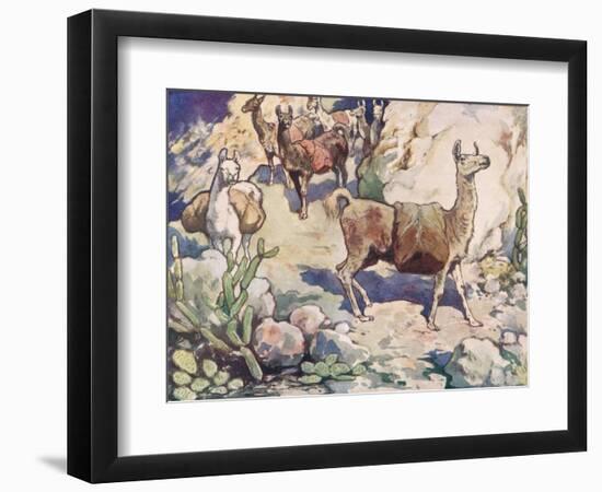 Alpacas on a Mountain Path-John Edwin Noble-Framed Giclee Print