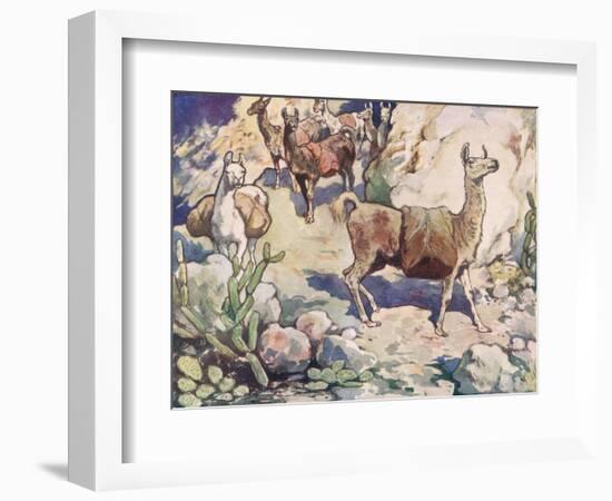 Alpacas on a Mountain Path-John Edwin Noble-Framed Giclee Print