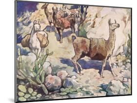 Alpacas on a Mountain Path-John Edwin Noble-Mounted Giclee Print