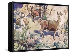 Alpacas on a Mountain Path-John Edwin Noble-Framed Stretched Canvas