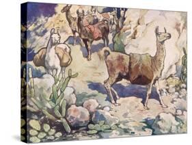 Alpacas on a Mountain Path-John Edwin Noble-Stretched Canvas