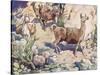 Alpacas on a Mountain Path-John Edwin Noble-Stretched Canvas