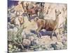 Alpacas on a Mountain Path-John Edwin Noble-Mounted Premium Giclee Print