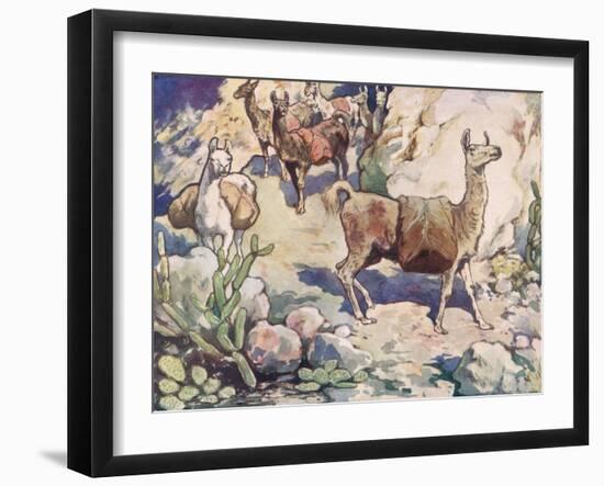 Alpacas on a Mountain Path-John Edwin Noble-Framed Giclee Print