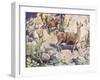 Alpacas on a Mountain Path-John Edwin Noble-Framed Giclee Print