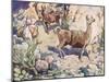Alpacas on a Mountain Path-John Edwin Noble-Mounted Giclee Print