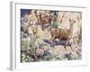 Alpacas on a Mountain Path-John Edwin Noble-Framed Giclee Print