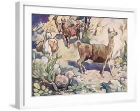 Alpacas on a Mountain Path-John Edwin Noble-Framed Giclee Print