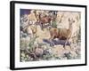 Alpacas on a Mountain Path-John Edwin Noble-Framed Giclee Print