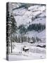 Alpbach, Austria-Adam Woolfitt-Stretched Canvas