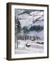 Alpbach, Austria-Adam Woolfitt-Framed Photographic Print