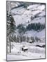 Alpbach, Austria-Adam Woolfitt-Mounted Photographic Print