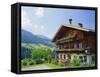 Alpbach, Tyrol, Austria-Roy Rainford-Framed Stretched Canvas