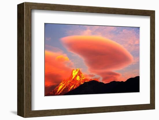 Alpenglow at sunset on Machapuchare, Nepelese Himalayas-Ashley Cooper-Framed Photographic Print