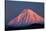 Alpenglow on Mt. Ngauruhoe at dawn, Tongariro NP, Central Plateau, N Island, New Zealand-David Wall-Stretched Canvas