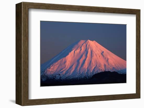 Alpenglow on Mt. Ngauruhoe at dawn, Tongariro NP, Central Plateau, N Island, New Zealand-David Wall-Framed Photographic Print