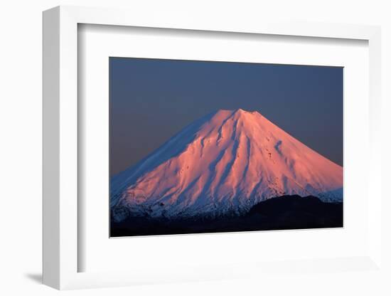 Alpenglow on Mt. Ngauruhoe at dawn, Tongariro NP, Central Plateau, N Island, New Zealand-David Wall-Framed Photographic Print
