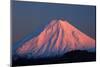 Alpenglow on Mt. Ngauruhoe at dawn, Tongariro NP, Central Plateau, N Island, New Zealand-David Wall-Mounted Photographic Print